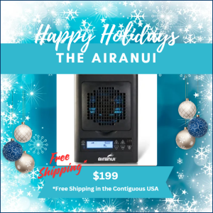 2024 Holiday Sale Indoor Air Purifier